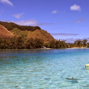 Meet your Posher, Delaney